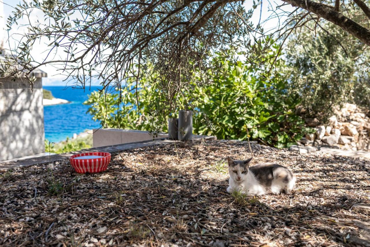 Olive'S Garden House Villa Vela Luka Exteriör bild
